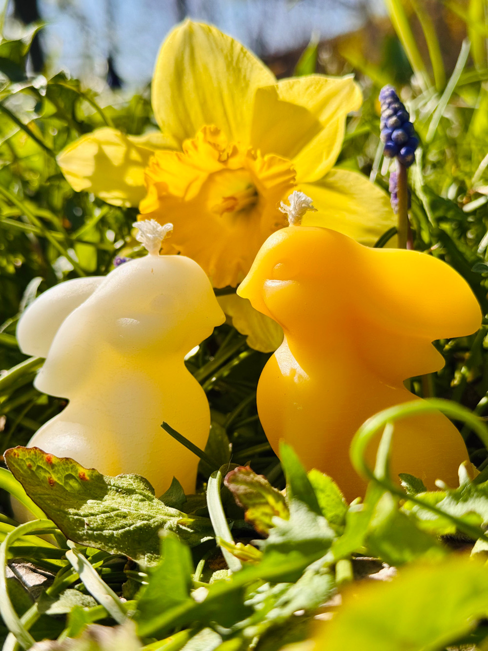 Bienenwachskerzen mit Ostermotiven