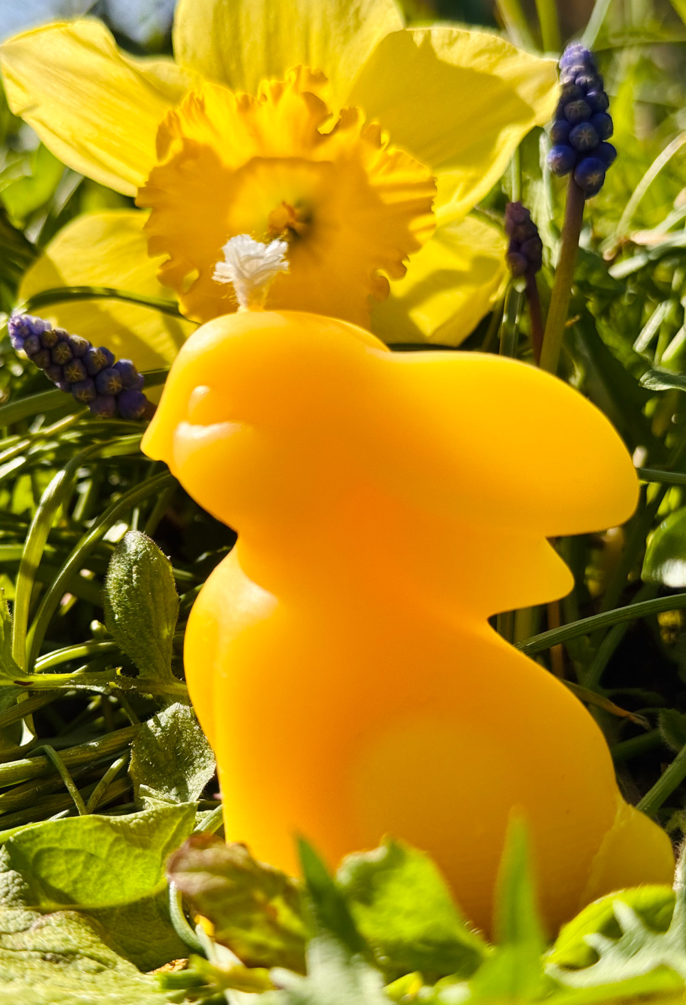 Bienenwachskerzen mit Ostermotiven – Bild 5