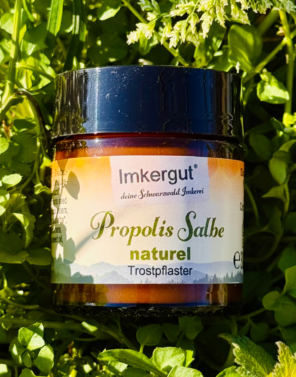 Propolis Salbe
